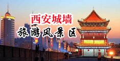 淫奴母狗调教奸淫小说中国陕西-西安城墙旅游风景区
